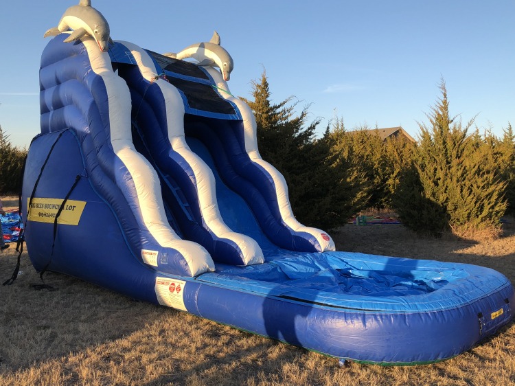 16 ft Dolphin Slide with pool - Wet