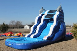 IMG 2061 617265672 16 ft Dolphin Slide with pool - Dry